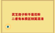 灵芝孢子粉不是花粉 二者有本质区别莫混淆