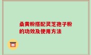 桑黄粉搭配灵芝孢子粉的功效及使用方法