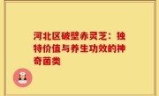 河北区破壁赤灵芝:独特价值与养生功效的神奇菌类