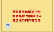 昆明灵芝破壁孢子粉 优质品牌 为健康注入自然活力的养生之选