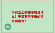 干灵芝上的孢子粉是什么？干灵芝孢子粉的特点和用途？