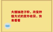 大棚抽孢子粉，改变种植方式的意外收获，快来看看