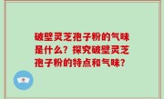 破壁灵芝孢子粉的气味是什么？探究破壁灵芝孢子粉的特点和气味？