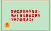 磐安灵芝孢子粉在哪个地方？寻找磐安灵芝孢子粉的最佳途径？