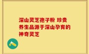 深山灵芝孢子粉 珍贵养生品源于深山孕育的神奇灵芝