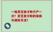 一株灵芝孢子粉只产一次？灵芝孢子粉的采摘与保存方法？