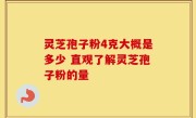 灵芝孢子粉4克大概是多少 直观了解灵芝孢子粉的量
