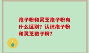 孢子粉和灵芝孢子粉有什么区别？认识孢子粉和灵芝孢子粉？