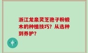 浙江龙泉灵芝孢子粉椴木的种植技巧？从选种到养护？