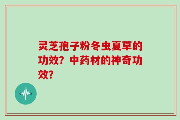 灵芝孢子粉冬虫夏草的功效？材的神奇功效？