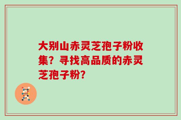 大别山赤灵芝孢子粉收集？寻找高品质的赤灵芝孢子粉？