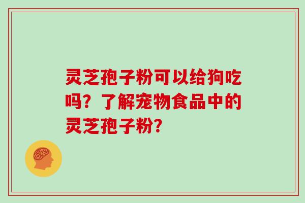 灵芝孢子粉可以给狗吃吗？了解宠物食品中的灵芝孢子粉？