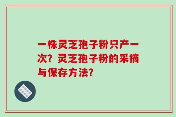一株灵芝孢子粉只产一次？灵芝孢子粉的采摘与保存方法？