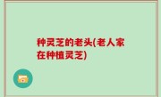 种灵芝的老头(老人家在种植灵芝)