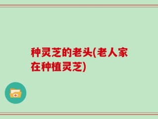 种灵芝的老头(老人家在种植灵芝)