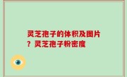 灵芝孢子的体积及图片？灵芝孢子粉密度