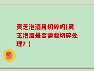 灵芝泡酒用切碎吗(灵芝泡酒是否需要切碎处理？)