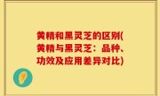 黄精和黑灵芝的区别(黄精与黑灵芝：品种、功效及应用差异对比)