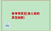 老爷爷灵芝(老人家的灵芝秘密)