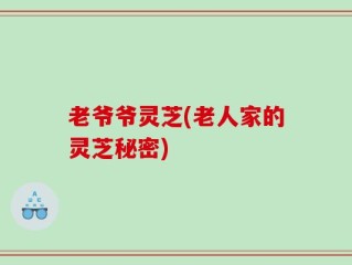 老爷爷灵芝(老人家的灵芝秘密)