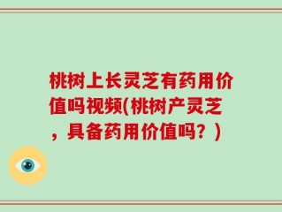 桃树上长灵芝有药用价值吗视频(桃树产灵芝，具备药用价值吗？)