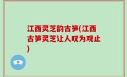 江西灵芝韵古笋(江西古笋灵芝让人叹为观止)