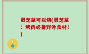 灵芝草可以烧(灵芝草：烤肉必备野外食材！)