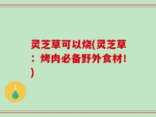 灵芝草可以烧(灵芝草：烤肉必备野外食材！)