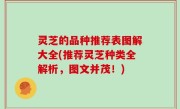 灵芝的品种推荐表图解大全(推荐灵芝种类全解析，图文并茂！)