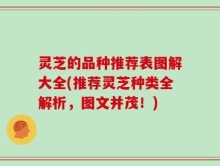 灵芝的品种推荐表图解大全(推荐灵芝种类全解析，图文并茂！)