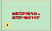 山东灵芝种植方法(山东灵芝种植技巧分享)