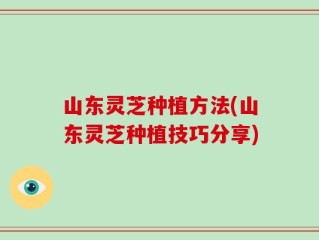 山东灵芝种植方法(山东灵芝种植技巧分享)