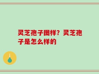 灵芝孢子图样？灵芝孢子是怎么样的