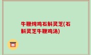 牛鞭炖鸡石斛灵芝(石斛灵芝牛鞭鸡汤)