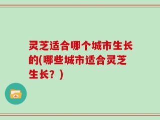 灵芝适合哪个城市生长的(哪些城市适合灵芝生长？)