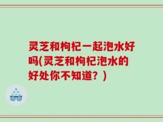 灵芝和枸杞一起泡水好吗(灵芝和枸杞泡水的好处你不知道？)