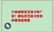 六安破壁灵芝孢子粉厂家？康怡灵芝孢子粉育种基地是哪里