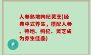 人参熟地枸杞灵芝(经典中式养生，搭配人参、熟地、枸杞、灵芝成为养生佳品)