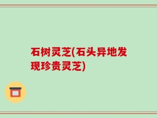 石树灵芝(石头异地发现珍贵灵芝)