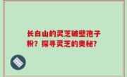 长白山的灵芝破壁孢子粉？探寻灵芝的奥秘？