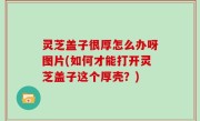 灵芝盖子很厚怎么办呀图片(如何才能打开灵芝盖子这个厚壳？)