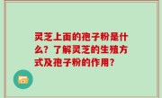 灵芝上面的孢子粉是什么？了解灵芝的生殖方式及孢子粉的作用？