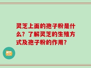 灵芝上面的孢子粉是什么？了解灵芝的生殖方式及孢子粉的作用？
