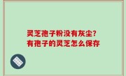 灵芝孢子粉没有灰尘？有孢子的灵芝怎么保存