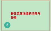 野生灵芝泡酒的功效与作用
