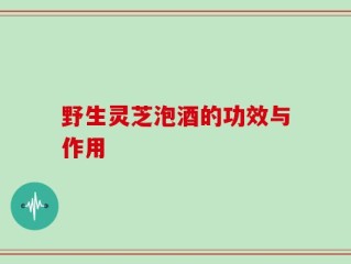 野生灵芝泡酒的功效与作用