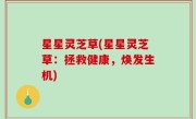 星星灵芝草(星星灵芝草：拯救健康，焕发生机)