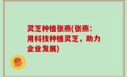灵芝种植张燕(张燕：用科技种植灵芝，助力企业发展)