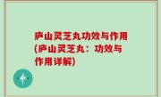 庐山灵芝丸功效与作用(庐山灵芝丸：功效与作用详解)