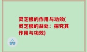 灵芝根的作用与功效(灵芝根的益处：探究其作用与功效)